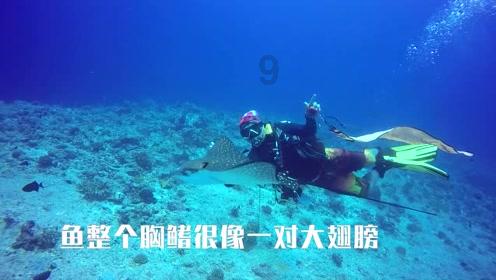 暴走方块